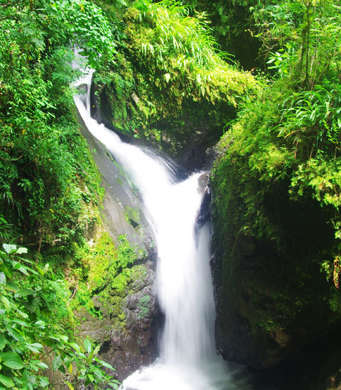 Jungle Waterfall Rio Maria