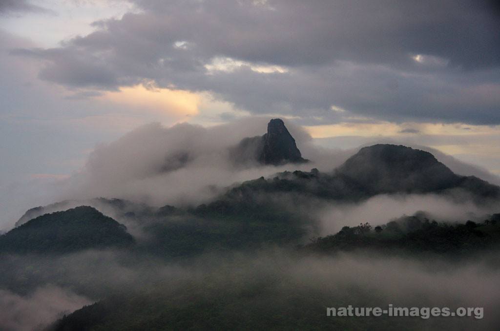 Mountain Cloud Forest Mist